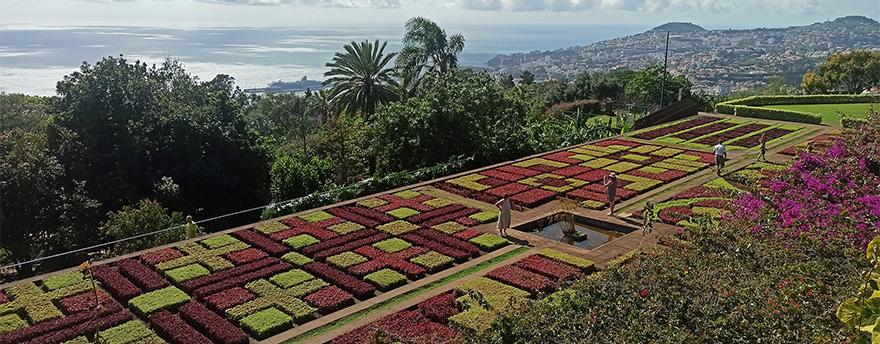 MADEIRA - 1.Nap: Szt. Lőrinc félsziget, Machico, Madeira Botanical Garden, Cristo Rei Statue MADEIRA - 1.Nap: Szt. Lőrinc félsziget, Machico, Madeira Botanical Garden, Cristo Rei Statue